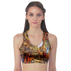 Abstract In Orange Sealife Background Abstract Of Ocean Beach Seaweed And Sand With A White Feather Sports Bra by Nexatart