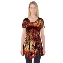 Forest Trees Abstract Short Sleeve Tunic  by Nexatart