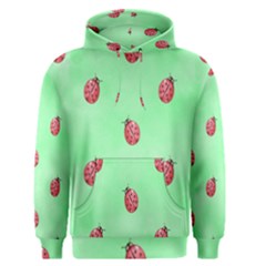 Pretty Background With A Ladybird Image Men s Pullover Hoodie