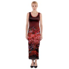 Red Fractal Valley In 3d Glass Frame Fitted Maxi Dress by Nexatart