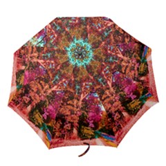 Abstract Fall Trees Saturated With Orange Pink And Turquoise Folding Umbrellas by Nexatart