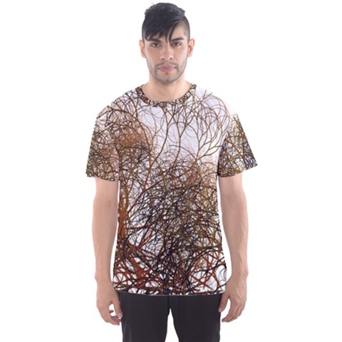 Digitally Painted Colourful Winter Branches Illustration Men s Sport Mesh Tee by Nexatart