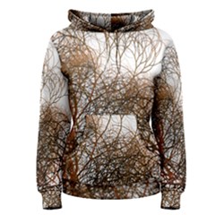 Digitally Painted Colourful Winter Branches Illustration Women s Pullover Hoodie by Nexatart