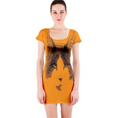 Cat Graphic Art Short Sleeve Bodycon Dress by Nexatart