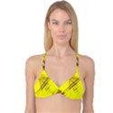 Fractal Color Parallel Lines On Gold Background Reversible Tri Bikini Top View3