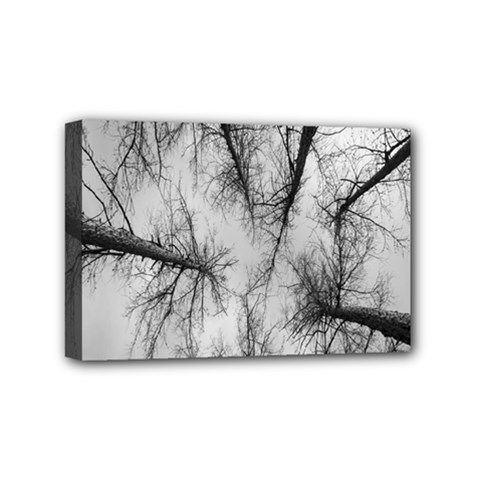 Trees Without Leaves Mini Canvas 6  x 4 