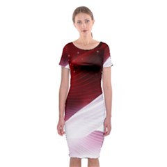 Dreamworld Studio 2d Illustration Of Beautiful Studio Setting Classic Short Sleeve Midi Dress