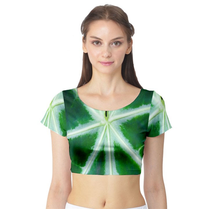 Green Leaf Macro Detail Short Sleeve Crop Top (Tight Fit)