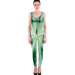 Green Leaf Macro Detail Onepiece Catsuit by Nexatart