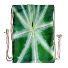Green Leaf Macro Detail Drawstring Bag (large) by Nexatart