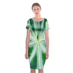 Green Leaf Macro Detail Classic Short Sleeve Midi Dress