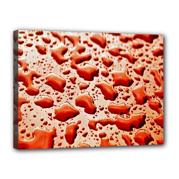 Water Drops Background Canvas 16  x 12 