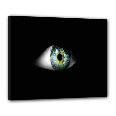 Eye On The Black Background Canvas 20  X 16  by Nexatart