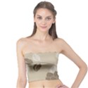 Flower Floral Grey Rose Leaf Tube Top View1