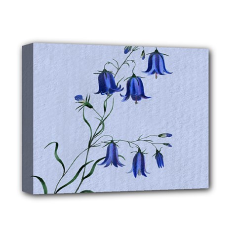 Floral Blue Bluebell Flowers Watercolor Painting Deluxe Canvas 14  X 11  by Nexatart