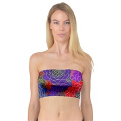 Colorful Background Of Multi Color Floral Pattern Bandeau Top by Nexatart