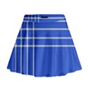 Stripes Pattern Template Texture Mini Flare Skirt View1