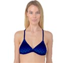 Blue Dot Reversible Tri Bikini Top View1