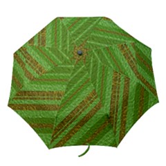 Stripes Course Texture Background Folding Umbrellas by Nexatart