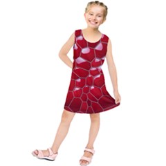 Plaid Iron Red Line Light Kids  Tunic Dress by Mariart