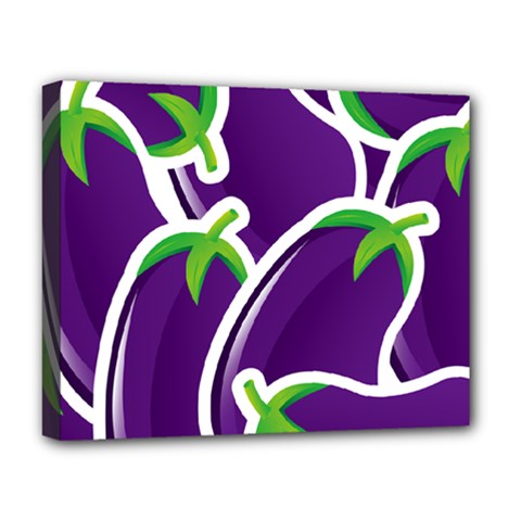 Vegetable Eggplant Purple Green Deluxe Canvas 20  X 16  