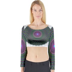 Pattern District Background Long Sleeve Crop Top by Nexatart