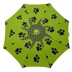 Green Prints Next To Track Straight Umbrellas by Nexatart