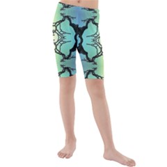 Branches With Diffuse Colour Background Kids  Mid Length Swim Shorts by Nexatart
