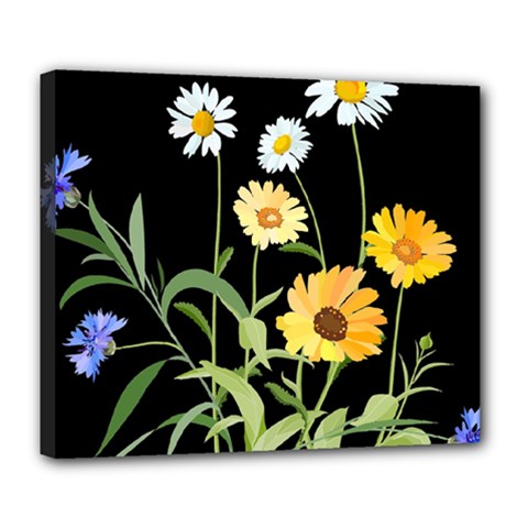 Flowers Of The Field Deluxe Canvas 24  X 20   by Nexatart