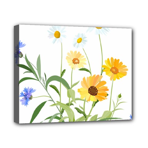 Flowers Flower Of The Field Canvas 10  X 8 
