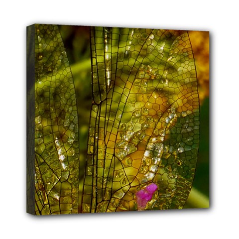 Dragonfly Dragonfly Wing Insect Mini Canvas 8  X 8  by Nexatart