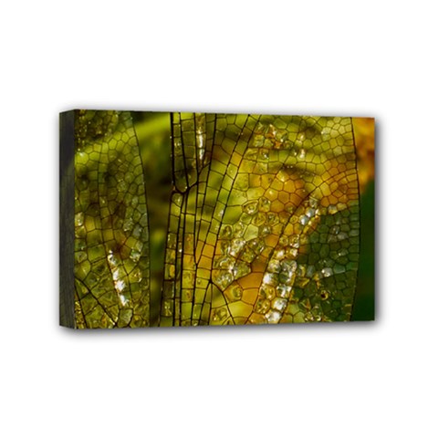 Dragonfly Dragonfly Wing Insect Mini Canvas 6  X 4  by Nexatart