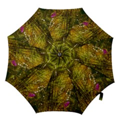 Dragonfly Dragonfly Wing Insect Hook Handle Umbrellas (medium) by Nexatart
