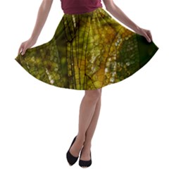 Dragonfly Dragonfly Wing Insect A-line Skater Skirt by Nexatart