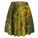 Dragonfly Dragonfly Wing Insect High Waist Skirt View2
