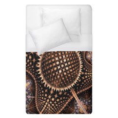 Brown Fractal Balls And Circles Duvet Cover (Single Size)