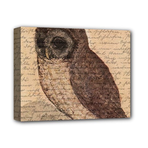 Vintage Owl Deluxe Canvas 14  X 11  by Valentinaart