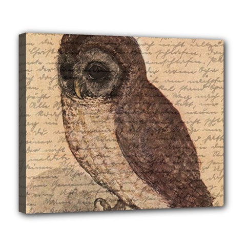 Vintage Owl Deluxe Canvas 24  X 20   by Valentinaart