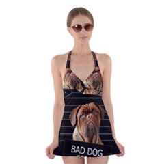 Bed Dog Halter Swimsuit Dress by Valentinaart