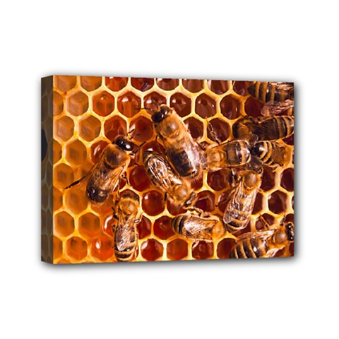 Honey Bees Mini Canvas 7  x 5 