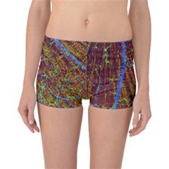 Neurobiology Reversible Bikini Bottoms