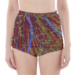 Neurobiology High-Waisted Bikini Bottoms