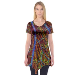 Neurobiology Short Sleeve Tunic 