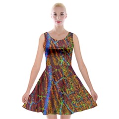 Neurobiology Velvet Skater Dress