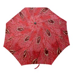 Red Peacock Floral Embroidered Long Qipao Traditional Chinese Cheongsam Mandarin Folding Umbrellas