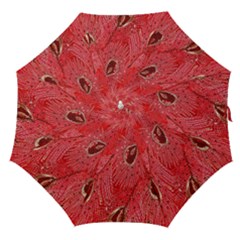 Red Peacock Floral Embroidered Long Qipao Traditional Chinese Cheongsam Mandarin Straight Umbrellas