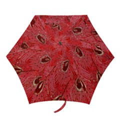 Red Peacock Floral Embroidered Long Qipao Traditional Chinese Cheongsam Mandarin Mini Folding Umbrellas