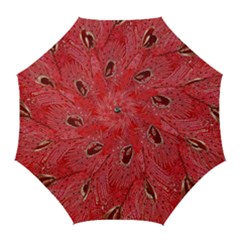 Red Peacock Floral Embroidered Long Qipao Traditional Chinese Cheongsam Mandarin Golf Umbrellas