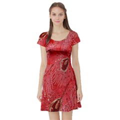 Red Peacock Floral Embroidered Long Qipao Traditional Chinese Cheongsam Mandarin Short Sleeve Skater Dress