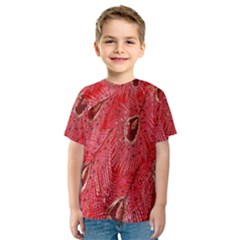 Red Peacock Floral Embroidered Long Qipao Traditional Chinese Cheongsam Mandarin Kids  Sport Mesh Tee